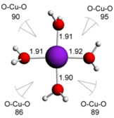 square planar complex